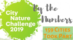 Tavolo tecnico nazionale della City Nature Challenge 2019 - CESAB